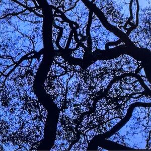 Meet your Posher, Dania